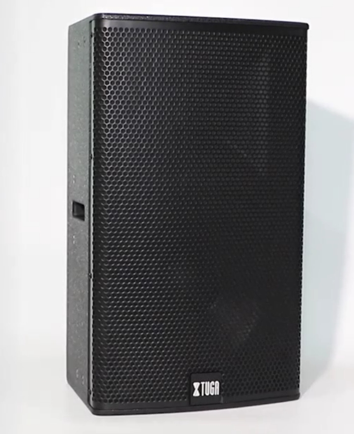 Outdoor Power Direct - 12-calowy drewniany głośnik aktywny 2*400W wzmacniacz
